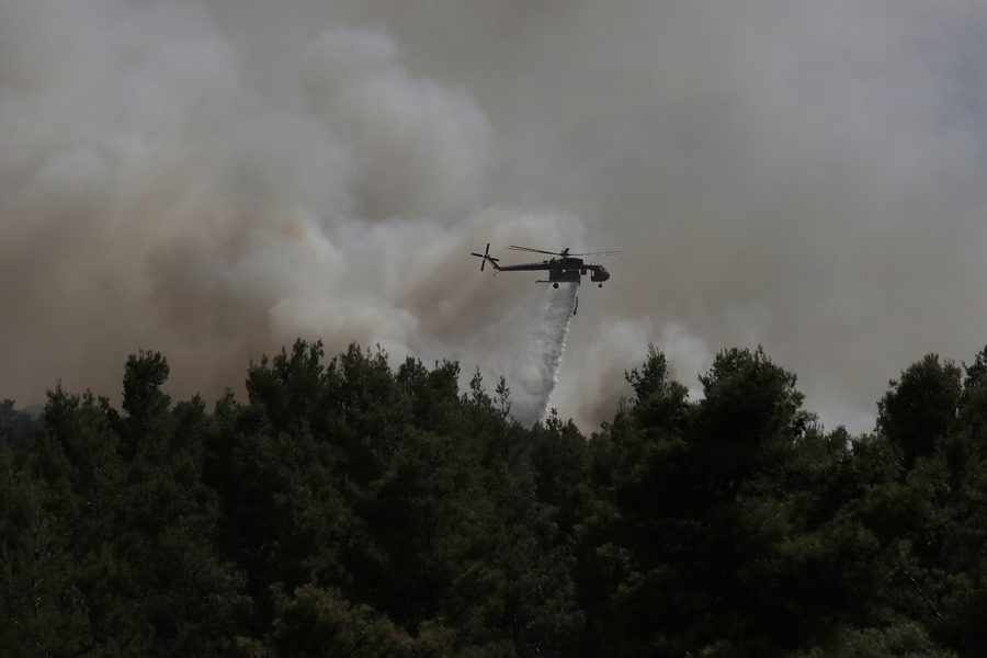 Λέκκας: Περίπου 500.000 στρέμματα καταστράφηκαν- Ο Αύγουστος θα είναι εφιαλτικός μήνας