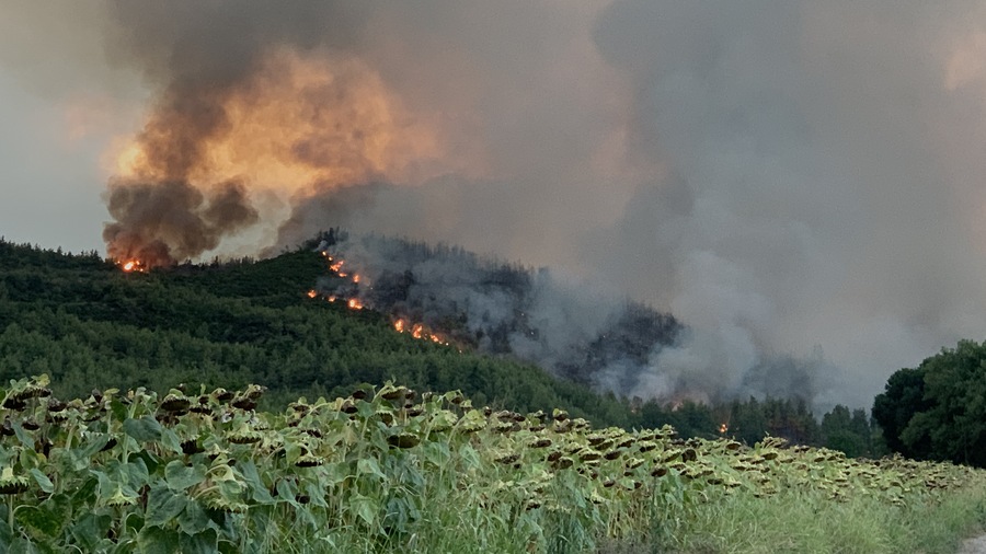 Μαίνεται η πυρκαγιά στην Εύβοια – Εκκενώνονται με μήνυμα του 112 Γούβες, Αρτεμίσιο, Καστρί, Βουλίκι και Πευκί (upd)