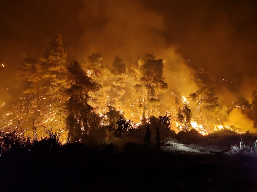 Financial Times: Το κύμα καύσωνα που πλήττει την Ευρώπη προκαλεί wildfires στην Πορτογαλία