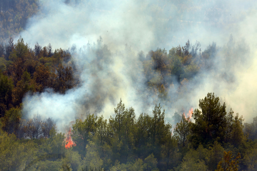 Κίνδυνος πυρκαγιάς αύριο σε Αττική και Εύβοια- Μήνυμα από το 112