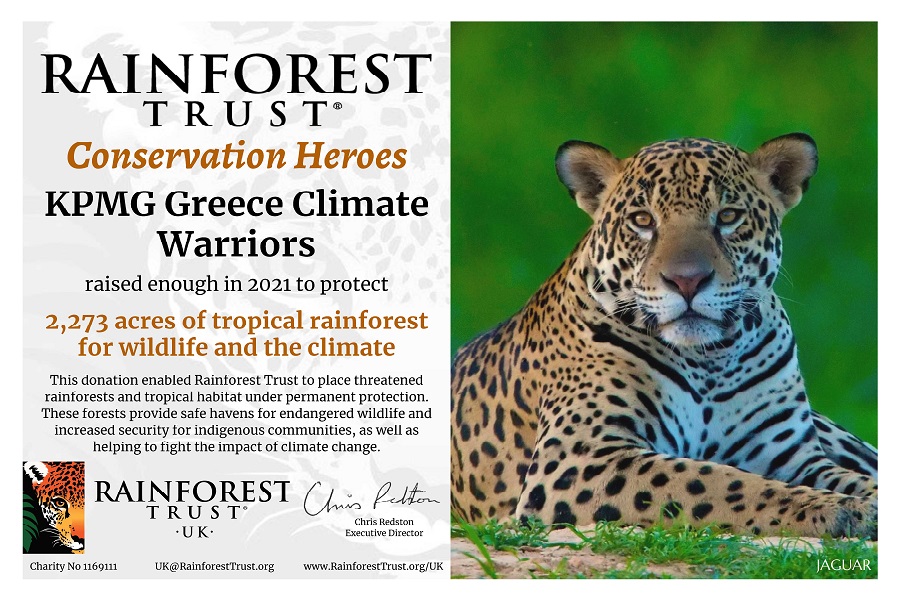 9.000 στρέμματα τροπικών δασών προστατεύει η KPMG στην Ελλάδα