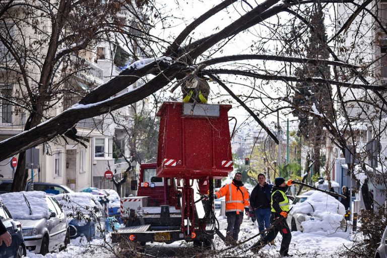 Ο δήμος Αθηναίων αποζημιώνει ιδιοκτήτες αυτοκινήτων για ζημιές από πτώσεις δένδρων