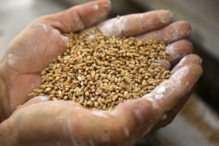 Η Βρετανία θέλει να διασφαλίσει ότι δεν θα φθάσει στην αγορά κλεμμένο ουκρανικό σιτάρι