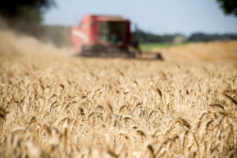 Μείωση 40% αναμένεται για την παραγωγή σιταριού της Ουκρανίας