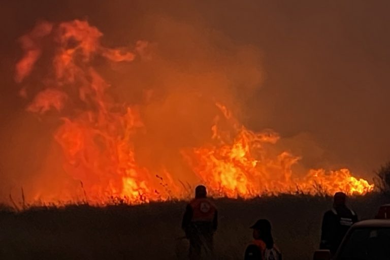 Φωτιά στην Αχαΐα: Εκκενώνεται το χωριό Λάττα – Μαίνονται οι πυρκαγιές σε Άμφισσα και Ζάκυνθο