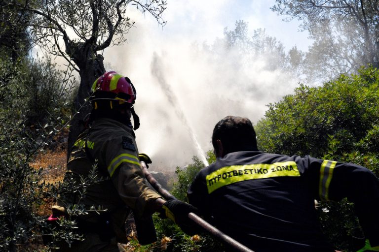 Υπό έλεγχο η φωτιά στη Λέσβο – Καλύτερη η εικόνα στην Ηλεία – Σε εξέλιξη επιχείρηση της Πυροσβεστικής στη Δαδιά