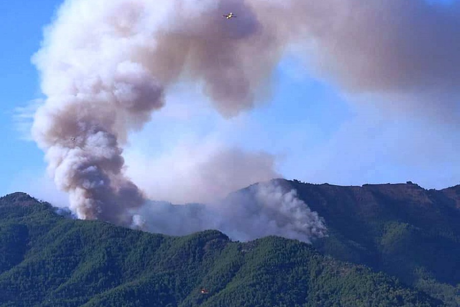 Σε εξέλιξη μεγάλη πυρκαγιά στη Θάσο – Μήνυμα του 112 για εκκένωση της περιοχής Κοίνυρα