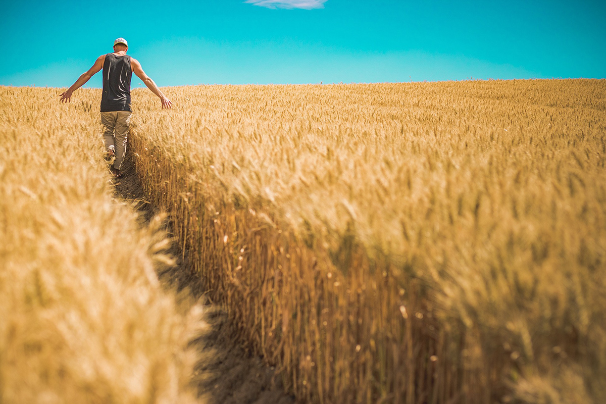 Η επισιτιστική κρίση, το agritech και η μάχη για τα σιτηρά