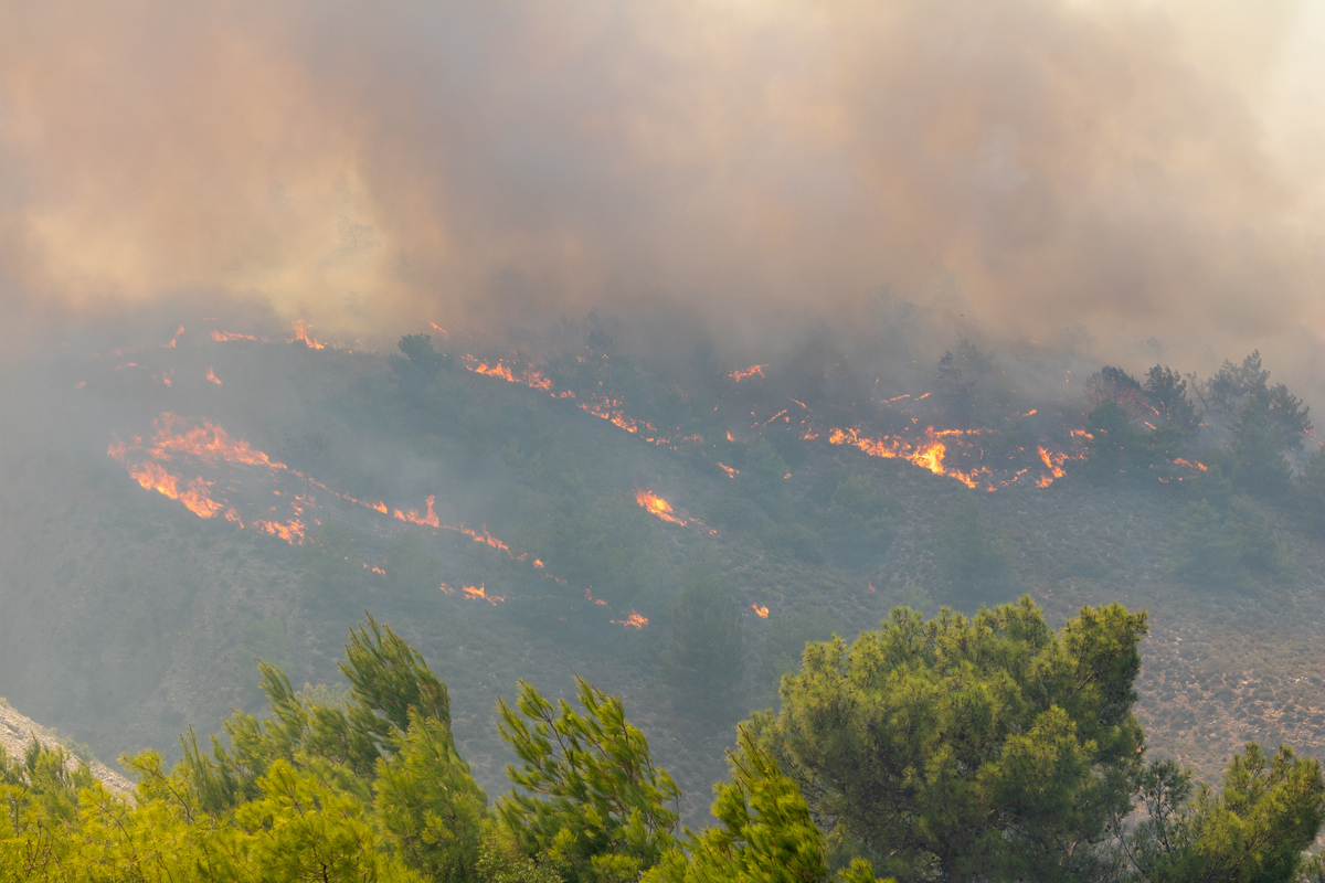 53 δασικές πυρκαγιές το τελευταίο 24ωρο – Σε Ρόδο και Κέρκυρα τα σοβαρότερα μέτωπα