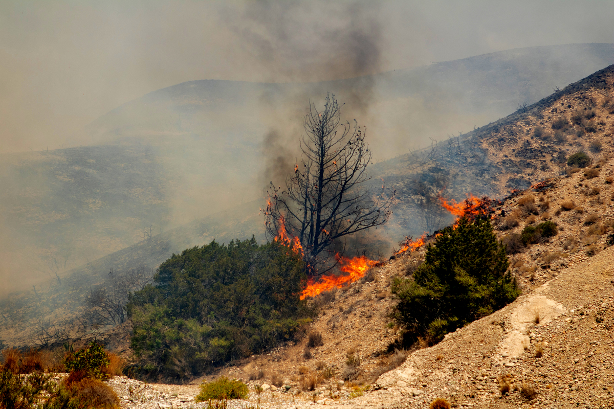 Ρόδος: 135.000 στρέμματα δασικής έκτασης κάηκαν στο νησί
