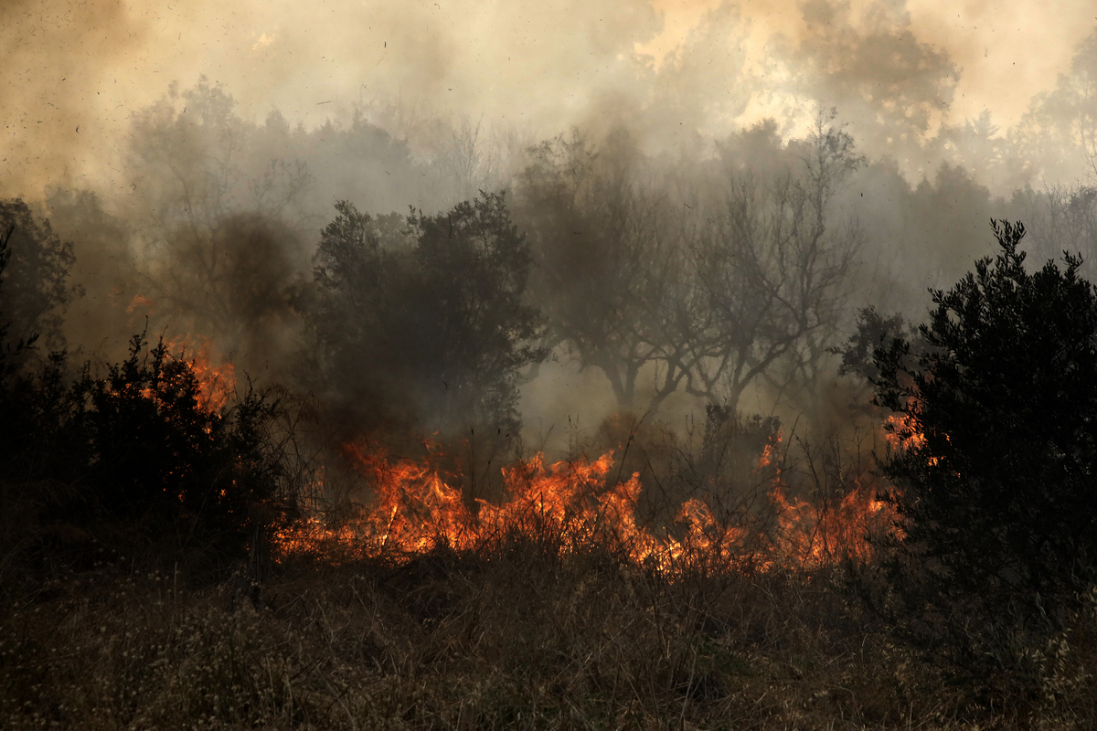 Δυνάμεις επιχειρούν σε πυρκαγιά στη Χίο – Μήνυμα του 112 για απομάκρυνση κατοίκων