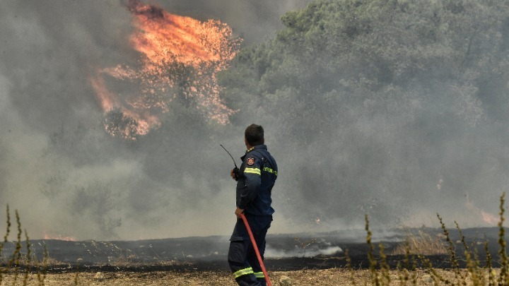Λέκκας για πυρκαγιές: Μεγάλη περιβαλλοντική υποβάθμιση, προ των πυλών η ερημοποίηση