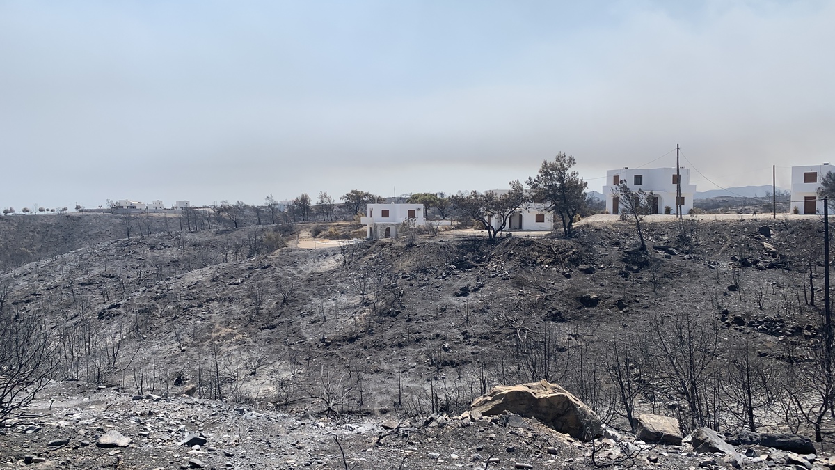 Τεράστια οικολογική καταστροφή στη Ρόδο. 135 χιλιάδες στρέμματα “καθαρού” δάσους έγιναν στάχτη