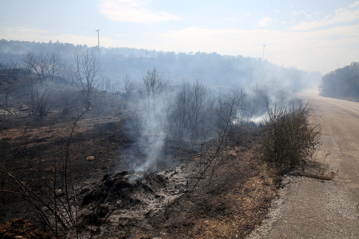 Ανυπολόγιστη η καταστροφή στον Έβρο: Κάηκαν χιλιάδες στρέμματα, καλλιέργειες και ζώα
