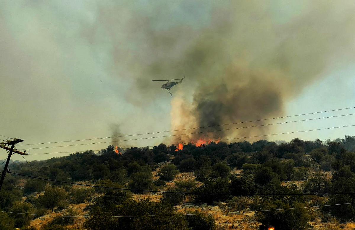 Μεγάλη πυρκαγιά στον Πρόδρομο Βοιωτίας – Ένας βοσκός έχασε τη ζωή του