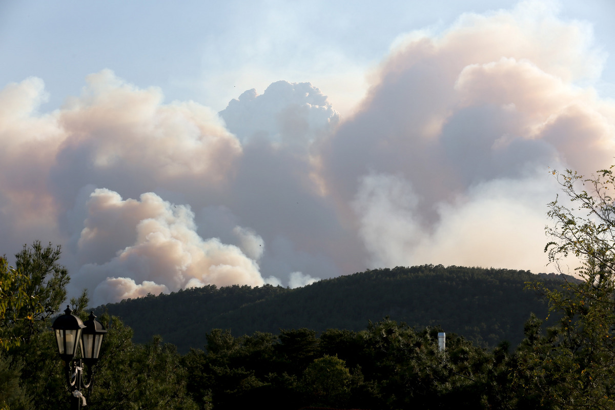 Τραγωδία με 18 απανθρακωμένες σορούς στο δάσος της Δαδιάς – 2 παιδιά μεταξύ των θυμάτων