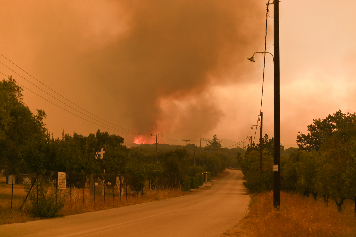 Εισαγγελική παρέμβαση για τους 18 νεκρούς και τις καταστροφές στον Έβρο από την φωτιά