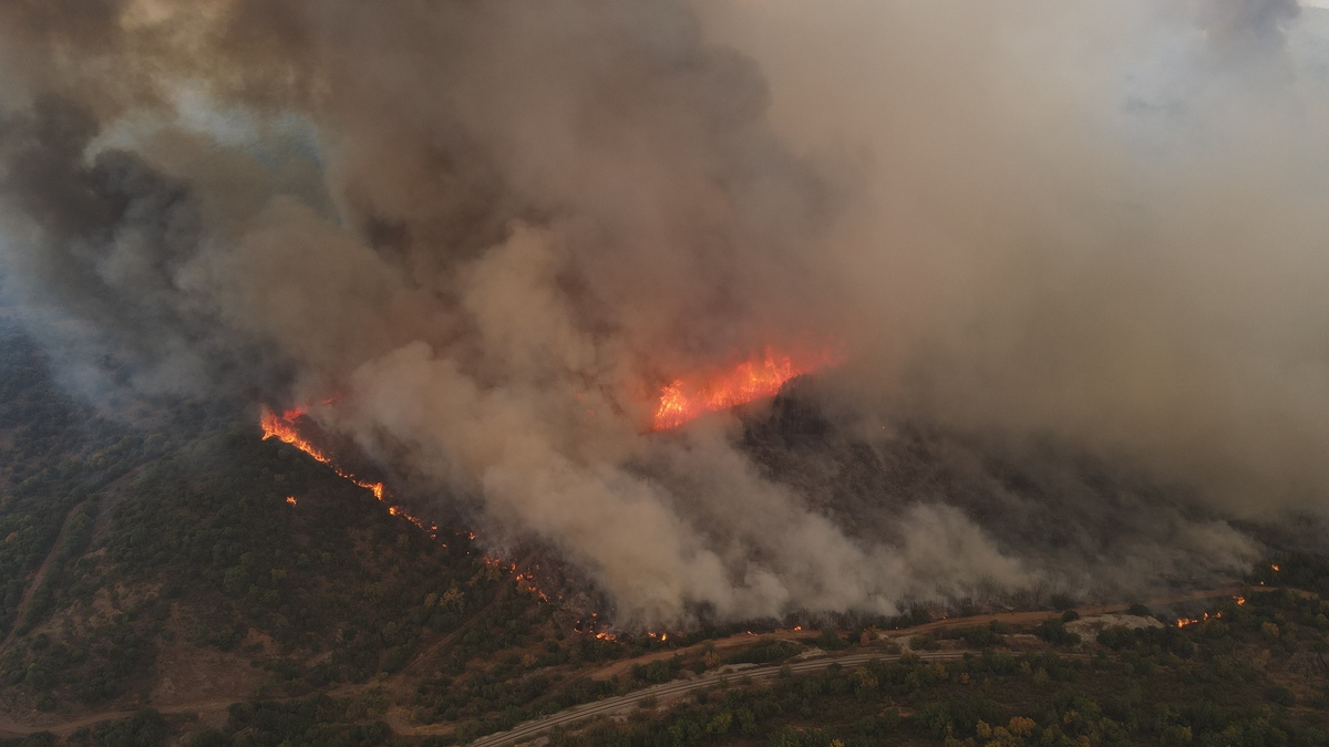 Στον Εθνικό Δρυμό η πυρκαγιά – Μάχη με τις φλόγες σε Έβρο, Ροδόπη και Εύβοια