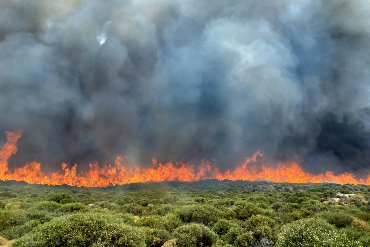 Ξεπερνούν το 1,66 δισ. ευρώ οι ζημιές από τις πυρκαγιές στην Ελλάδα