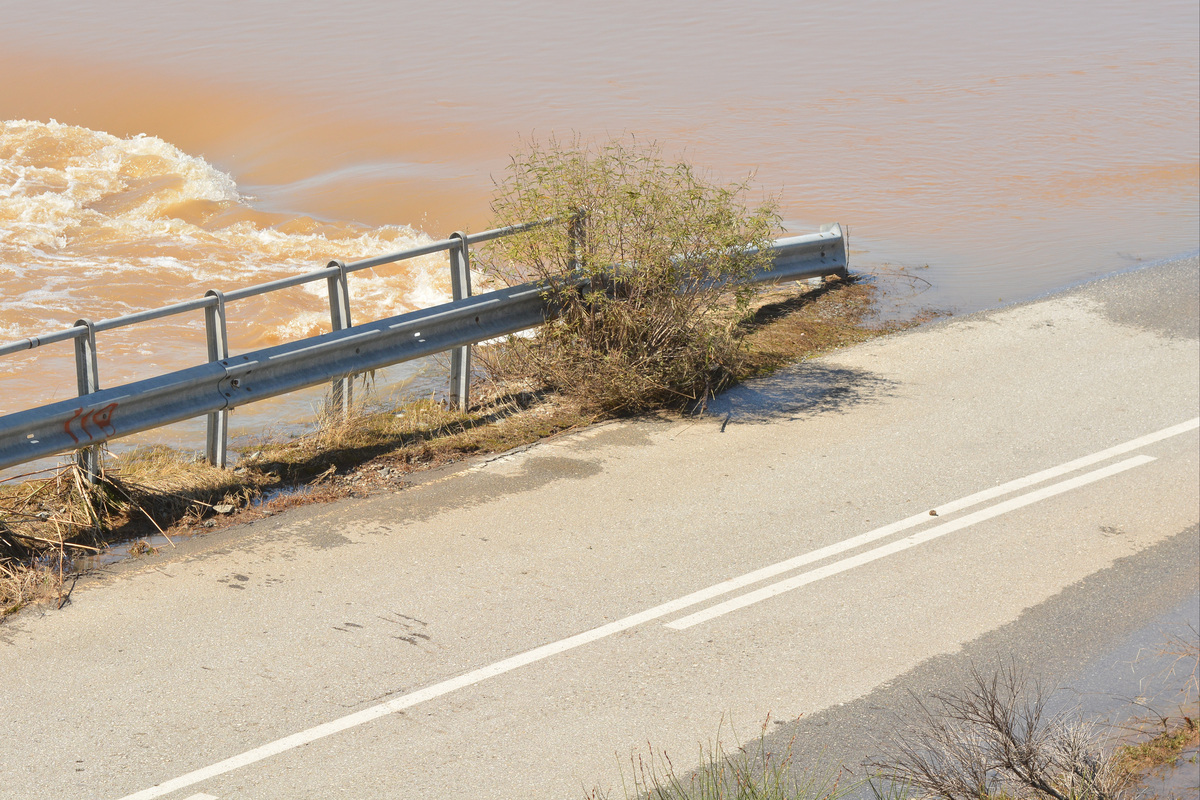 Πλημμύρες – Σταμενίτης: 38.000 αιγοπρόβατα και 7.000 χοίροι έχουν δηλωθεί νεκρά