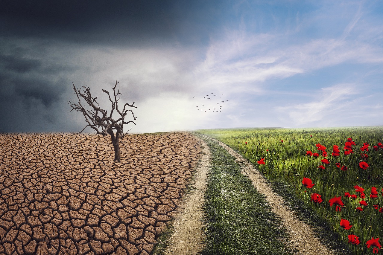 Κλιματική Αλλαγή: Εν αναμονή των αποφάσεων του ΕΔΔΑ για 3 σημαντικές υποθέσεις