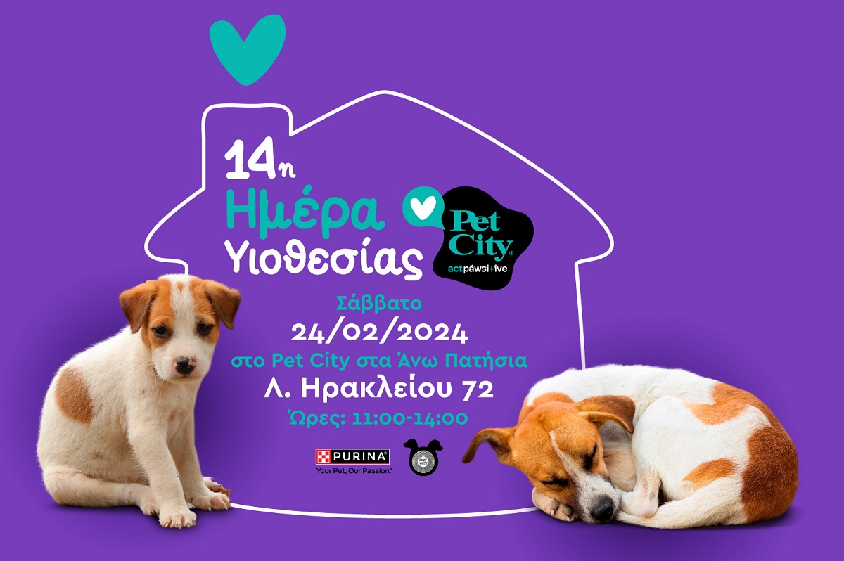 14η Ημέρα Υιοθεσίας Pet City: Μήνυμα ελπίδας για τα αδέσποτα ζώα που αναζητούν φροντίδα και αγάπη
