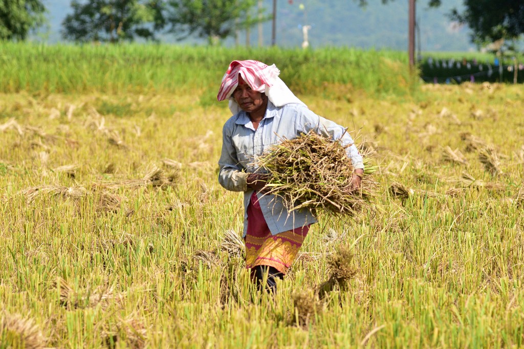 FAO: Σε αυτές τις περιοχές η κλιματική αλλαγή επηρεάζει περισσότερο τις γυναίκες και τους φτωχούς