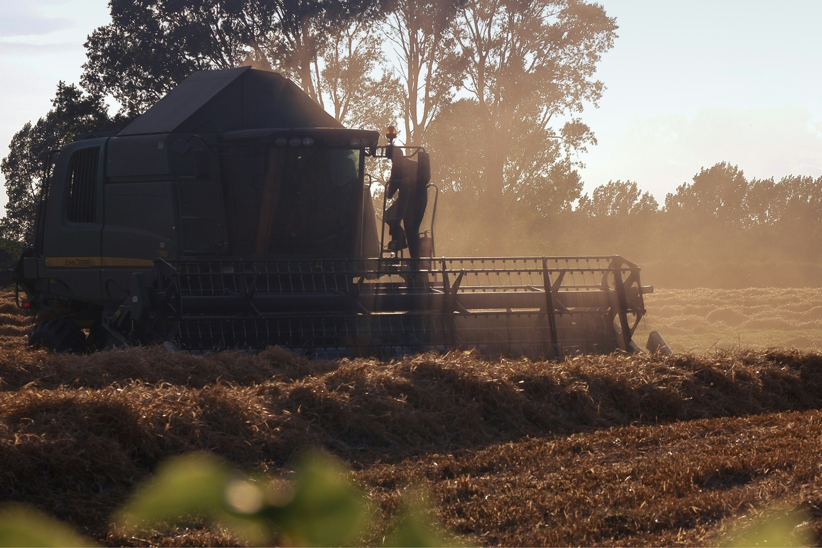 Αθηναϊκή Ζυθοποιία: Επενδύσεις σε αγροτική παραγωγή και πράσινες δεξιότητες με πραγματικό αντίκτυπο
