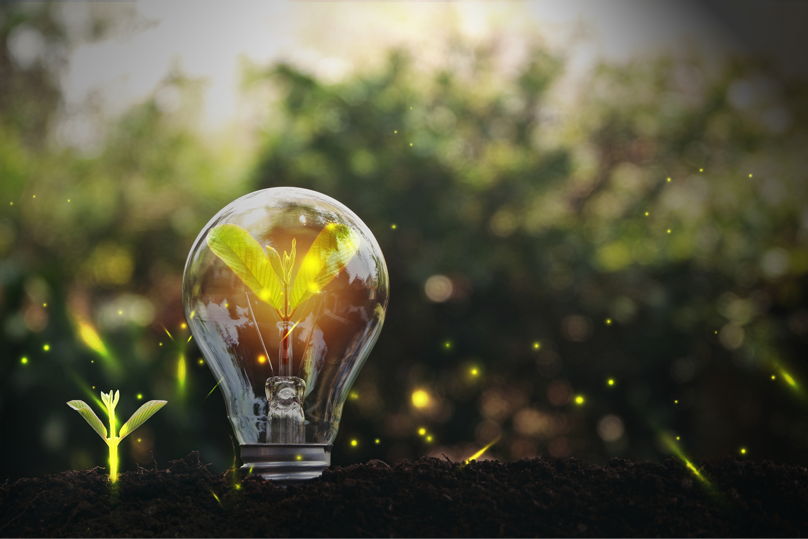 Κωνσταντίνα Κοτταρίδη: «Η πράσινη μετάβαση θα κριθεί στην καινοτομία και τη στρατηγική»