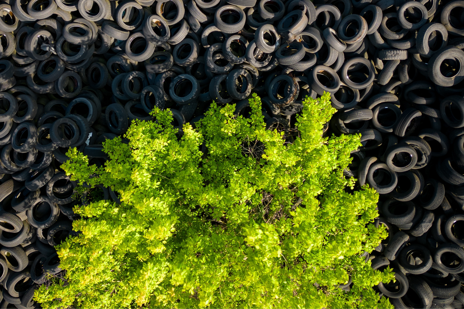 Από τα απόβλητα στη δημιουργία αξίας: Ελληνικές επιχειρήσεις που επαναπροσδιορίζουν τη βιώσιμη ανάπτυξη