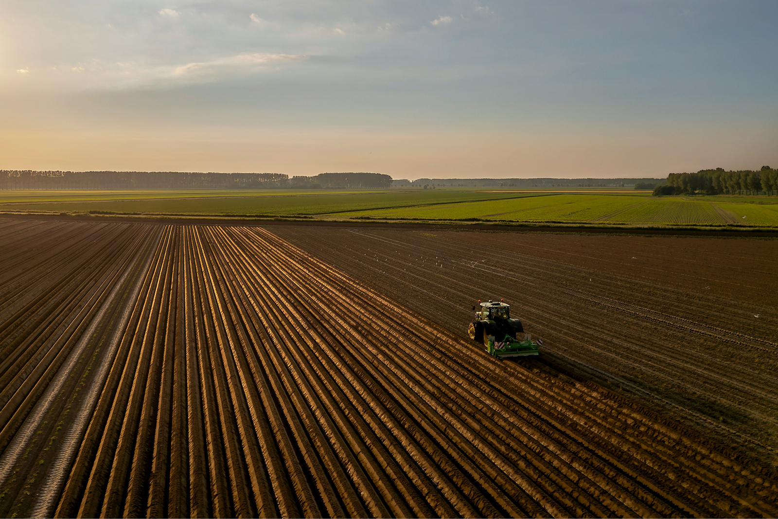 Πώς τα chatbots Τεχνητής Νοημοσύνης χτίζουν την «πράσινη αφοσίωση» των καταναλωτών