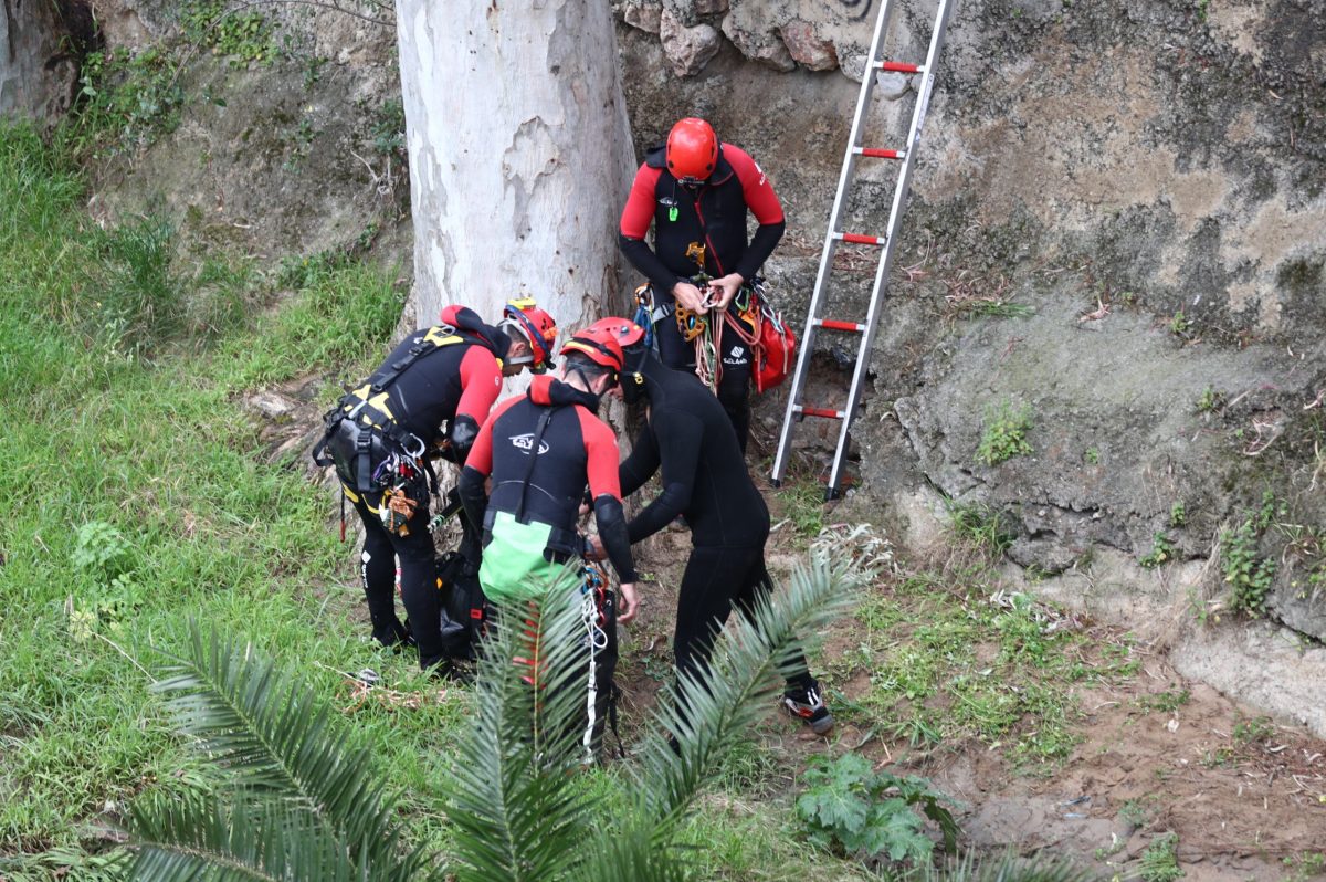Δράμα: Νεκρός ο ορειβάτης που δέχτηκε επίθεση από αρκούδα και έπεσε σε χαράδρα