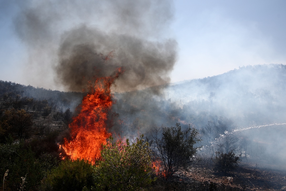 Πυρκαγιά στον Μαραθώνα – Μήνυμα του 112 και μεγάλη κινητοποίηση πυροσβεστικών δυνάμεων