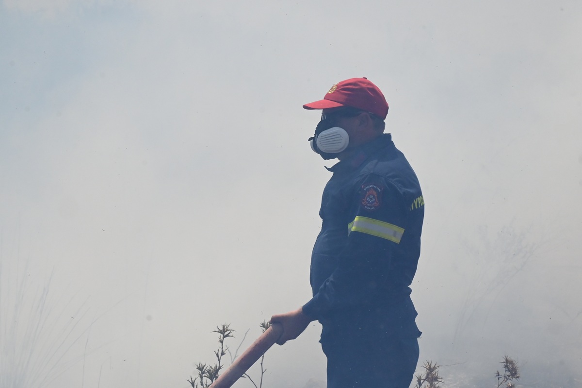 Μάχη με τις φλόγες στην Άσσηρο: Ολονύχτια επιχείρηση και εναέρια μέσα από το πρωί