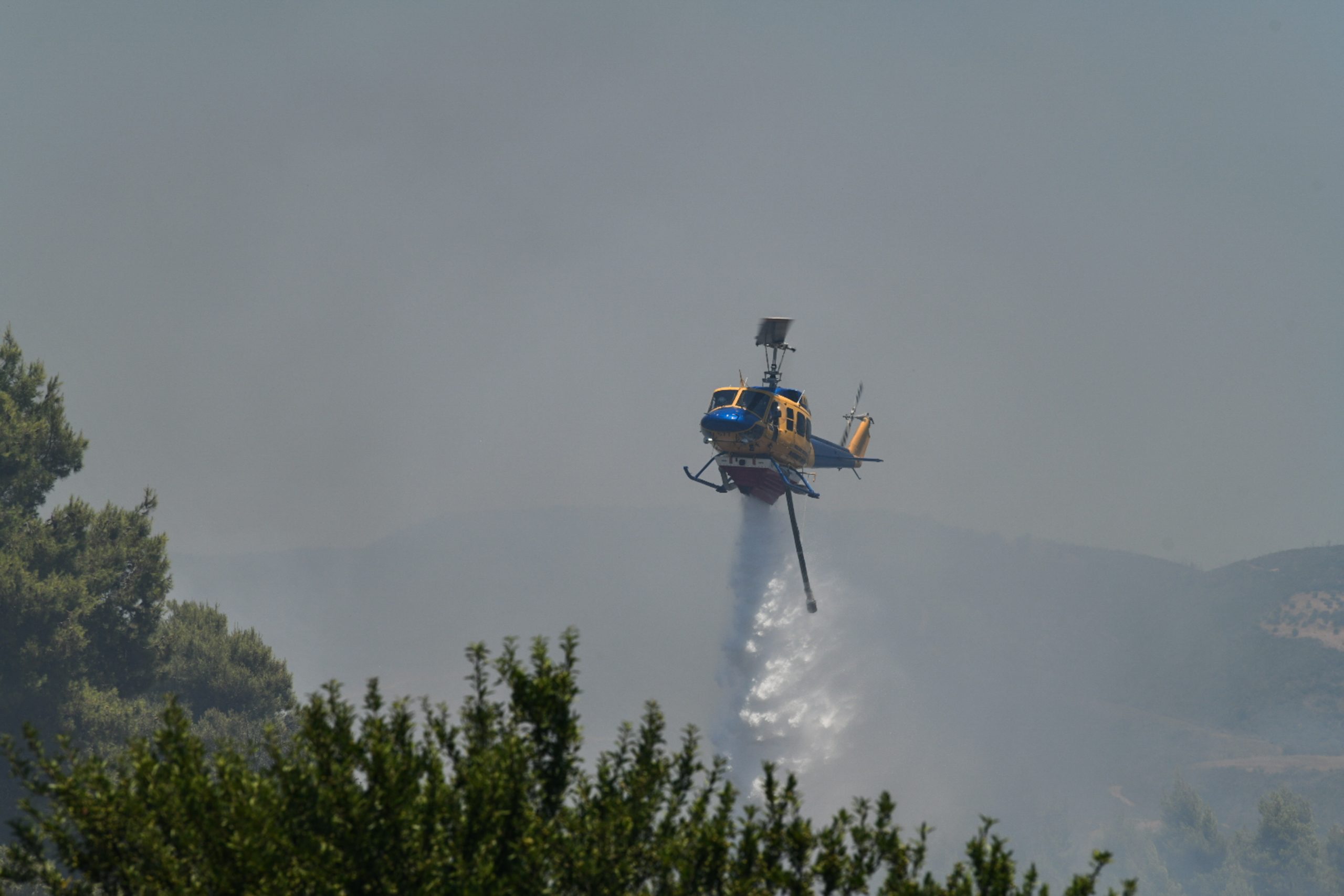 Φωτιά σε δασική έκταση στον Άγιο Στέφανο Αττικής