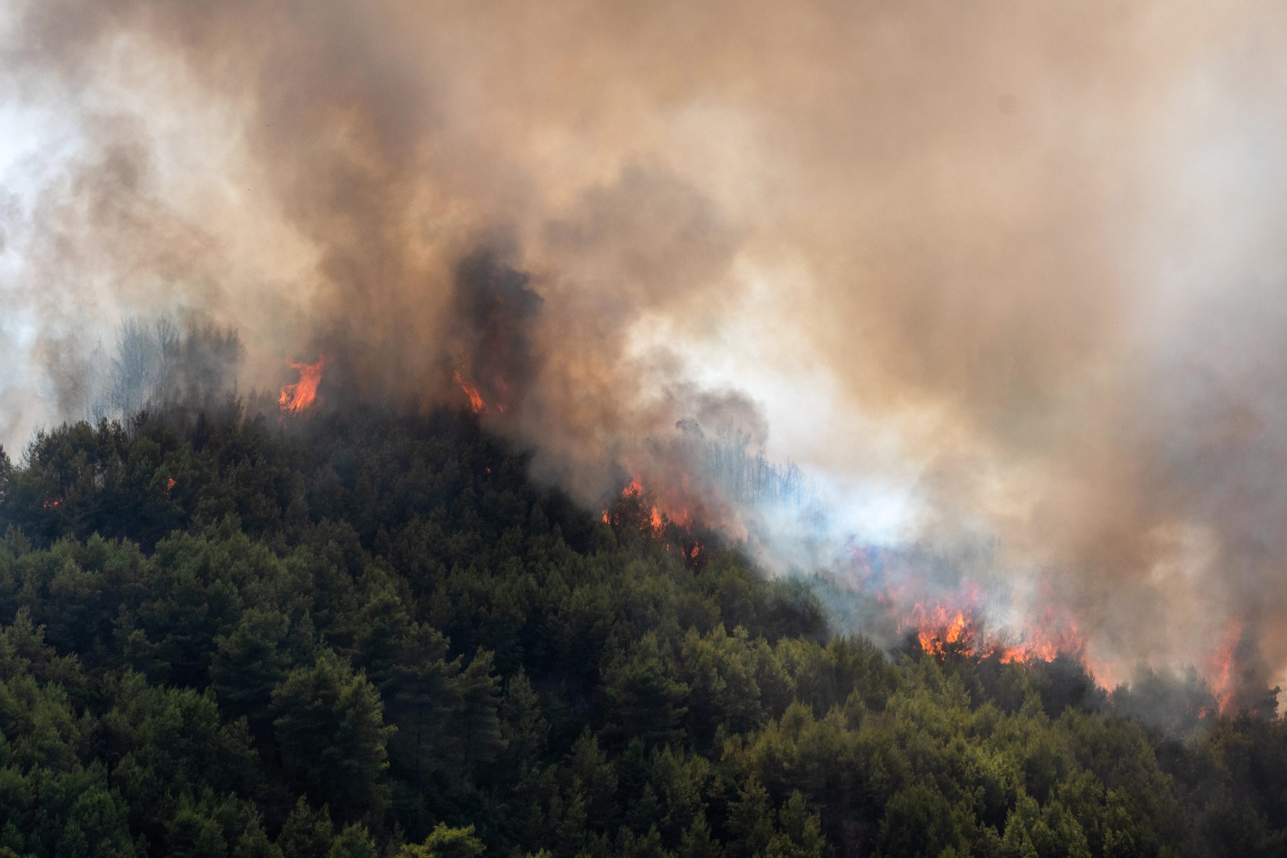 Ανεξέλεγκτη φωτιά στην Ιεροπηγή Καστοριάς – Καίει δασική έκταση