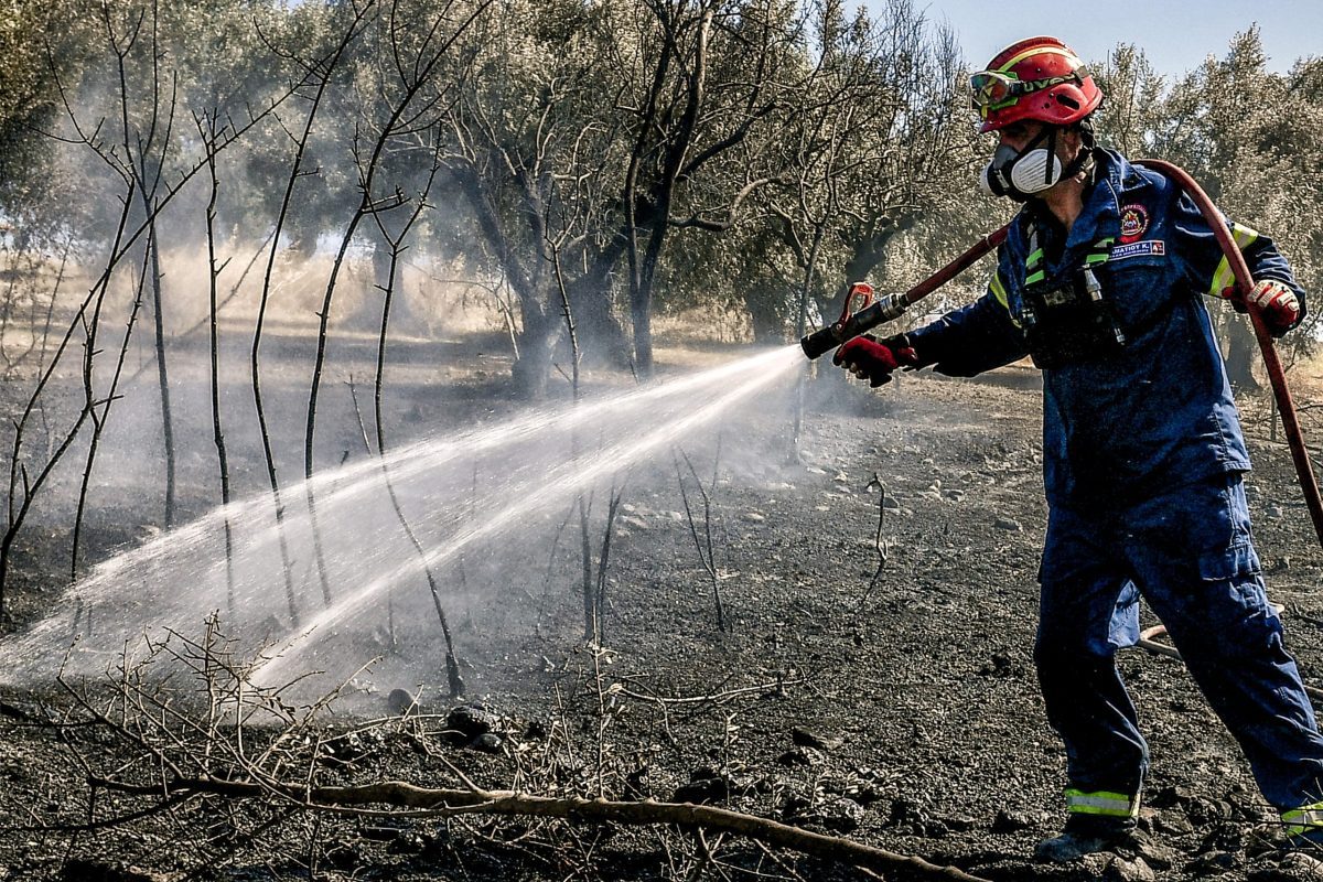Πύρινος εφιάλτης σε Ζάκυνθο, Βόνιτσα, Κεφαλονιά και Άρτα – Εκκενώσεις και μάχη με τους ανέμους