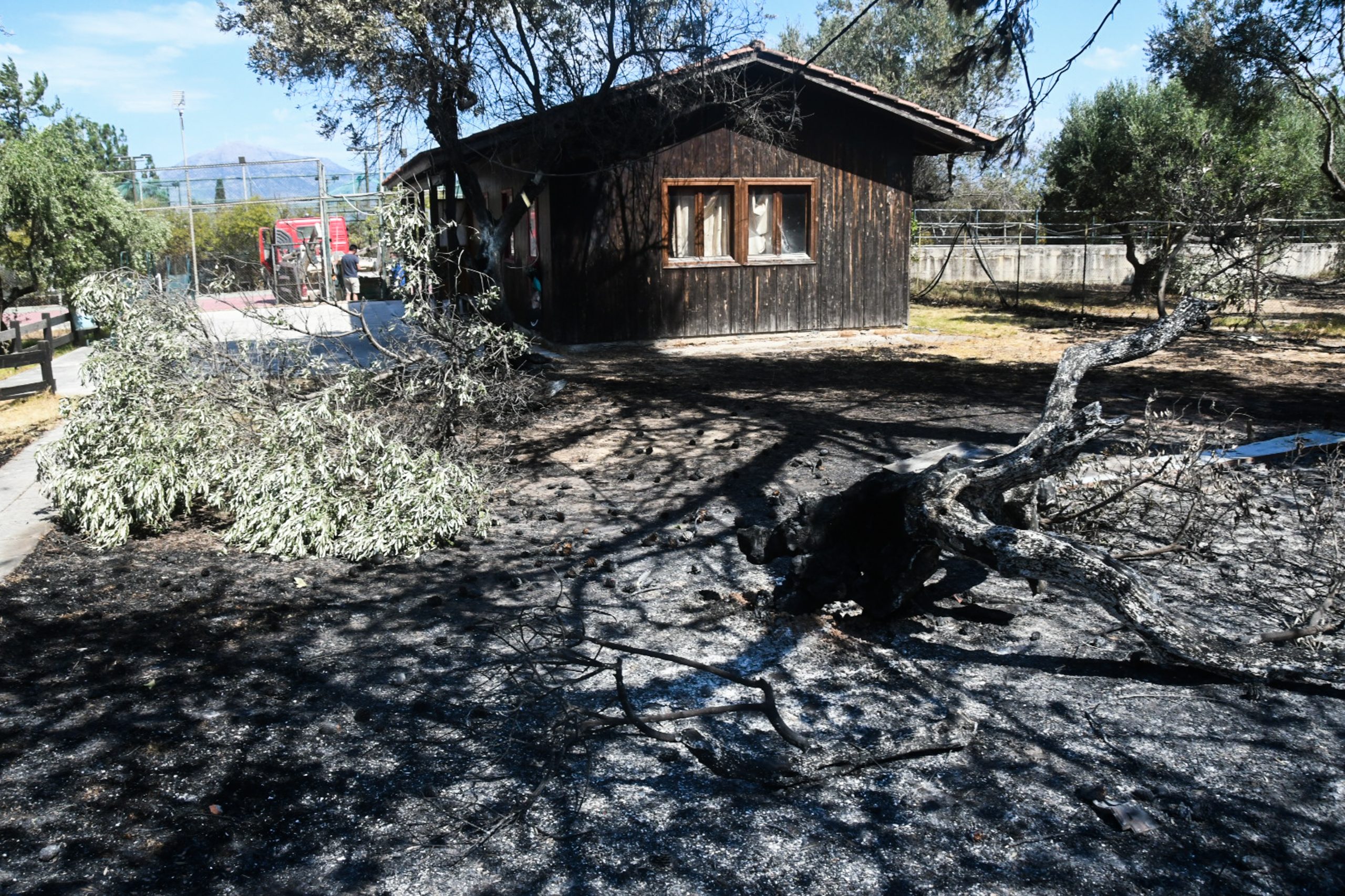 Πάτρα: Φωτογραφίες-ντοκουμέντα από τις συλλήψεις εμπρηστών