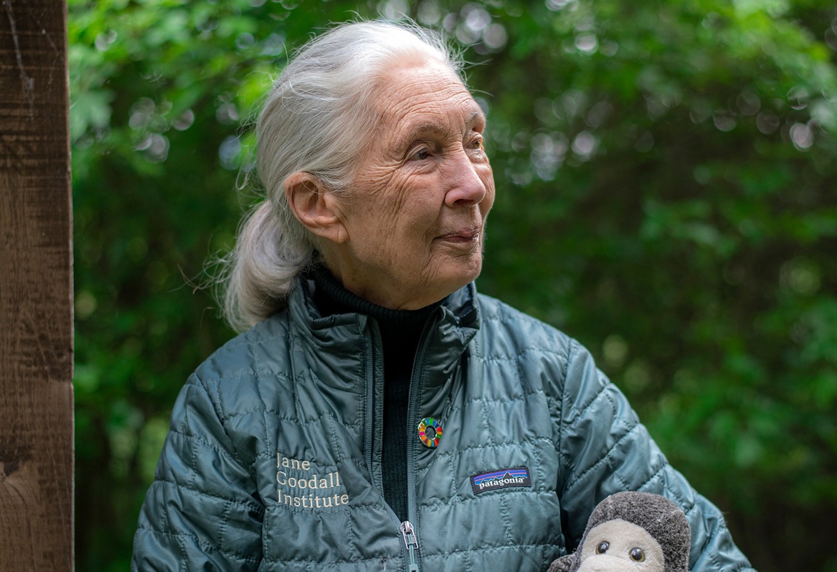 Η τελευταία συνέντευξη της Τζέιν Γκούντολ – και το καυστικό της μήνυμα προς τον Έλον Μασκ