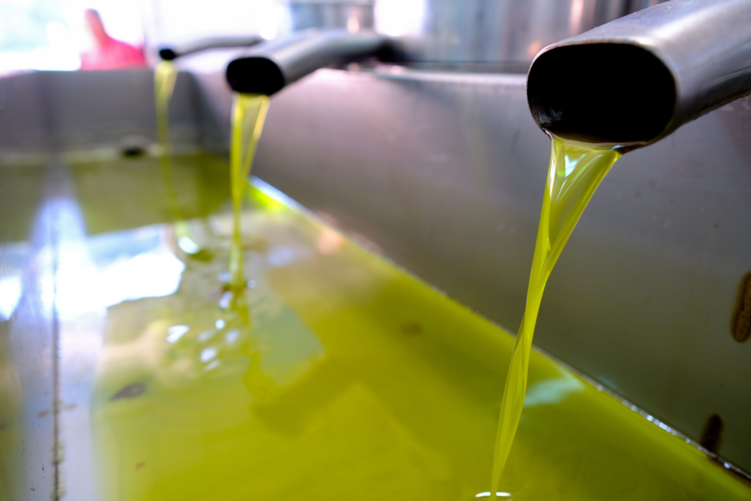 «Καμπανάκι» για τη μείωση παραγωγής ελαιολάδου – Πού κυμαίνεται η τιμή στο ράφι