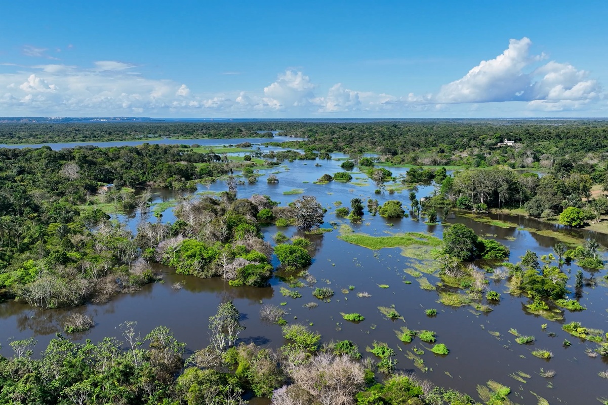 AmazonFACE: Η «μηχανή του χρόνου» που θα κρίνει το μέλλον του Αμαζονίου ενόψει της COP30