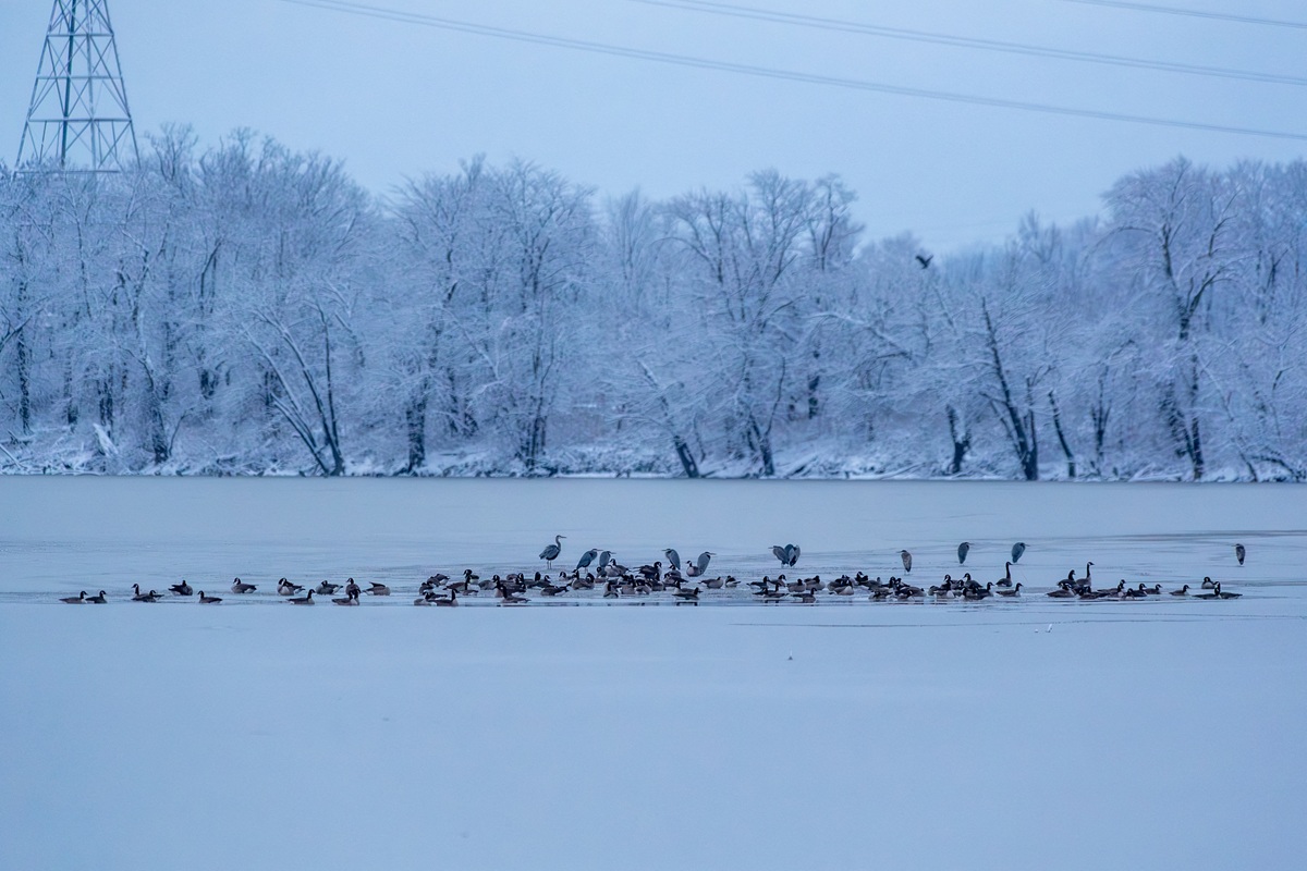 Kύμα κακοκαιρίας στις ΗΠΑ: Χιονοθύελλες και ατυχήματα σε Μεσοδυτικές και Ανατολικές πολιτείες