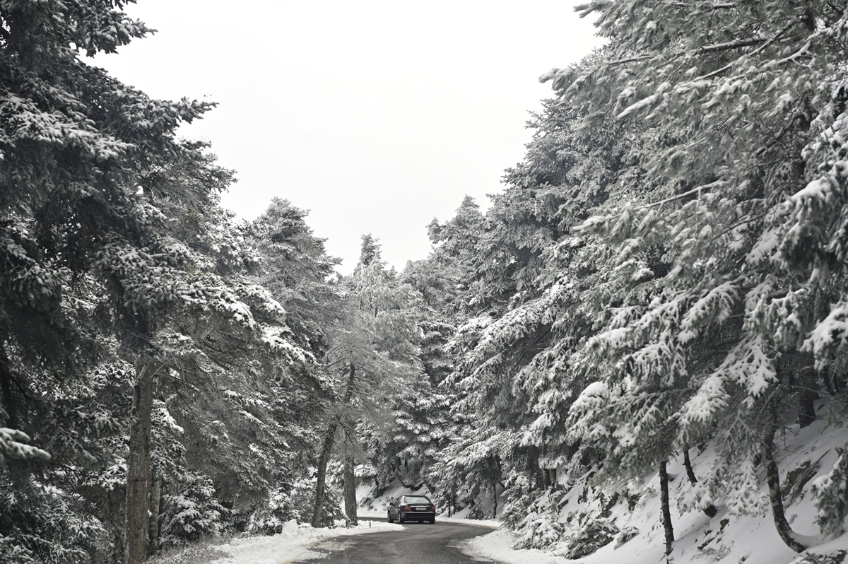 Παγωμένη πρωτοχρονιά: Έρχονται χιόνια και στην Αττική – Έκτακτα μέτρα του Δήμου Αθηναίων