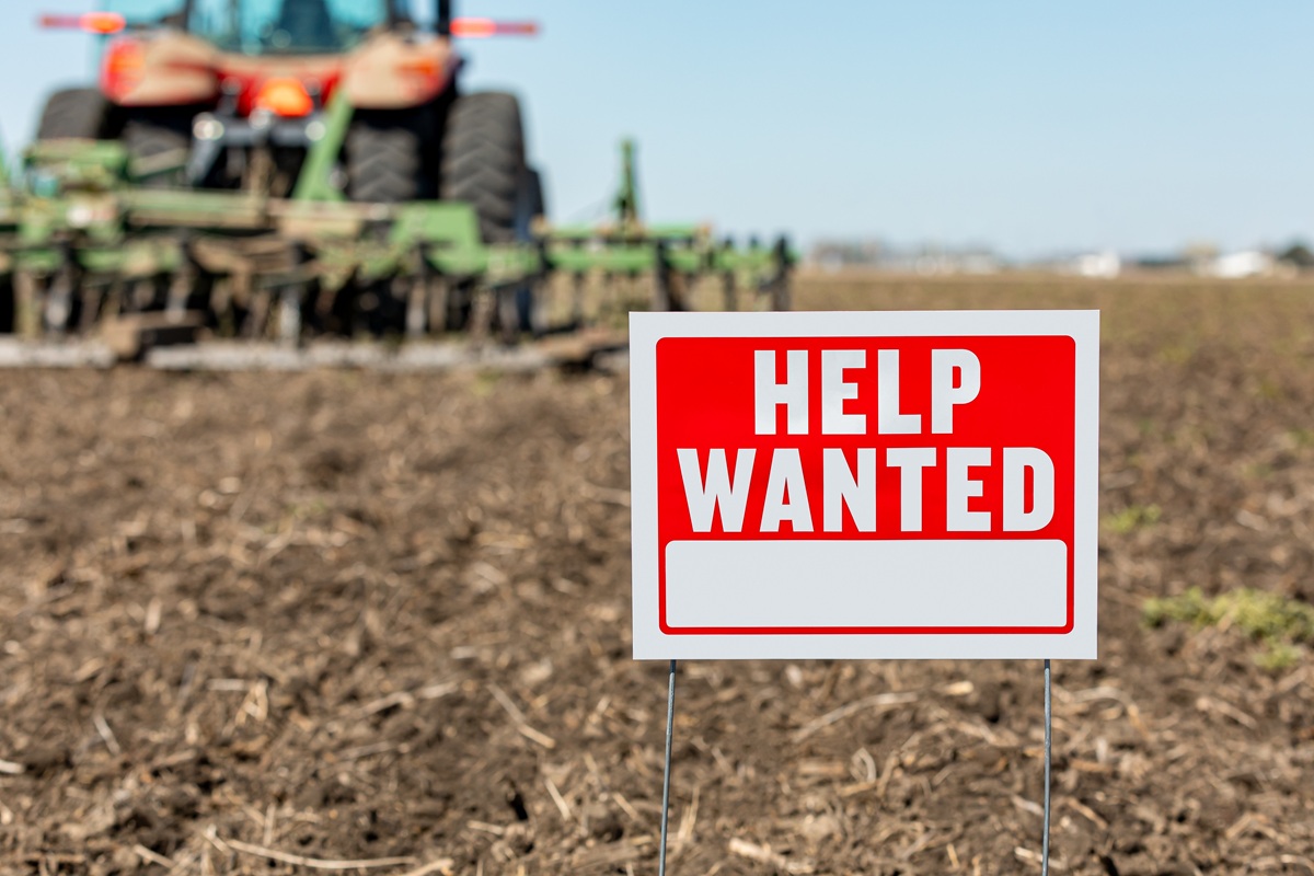 Οικονομολόγος για έλλειψη εργατικού δυναμικού: 6ήμερη εβδομάδα εργασίας ή περισσότερη μετανάστευση