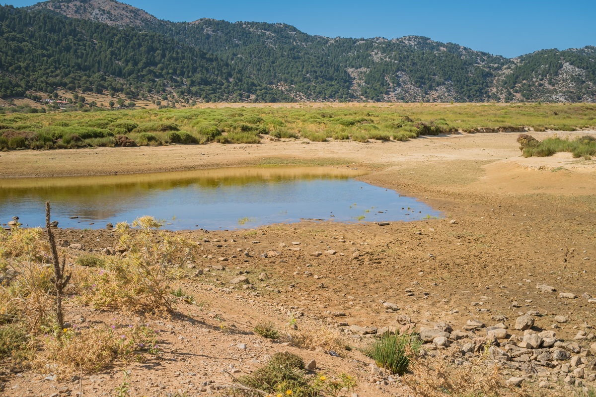Από την ξηρασία έως τις πυρκαγιές: Γιατί η κλιματική κρίση απαιτεί νέο αναπτυξιακό μοντέλο