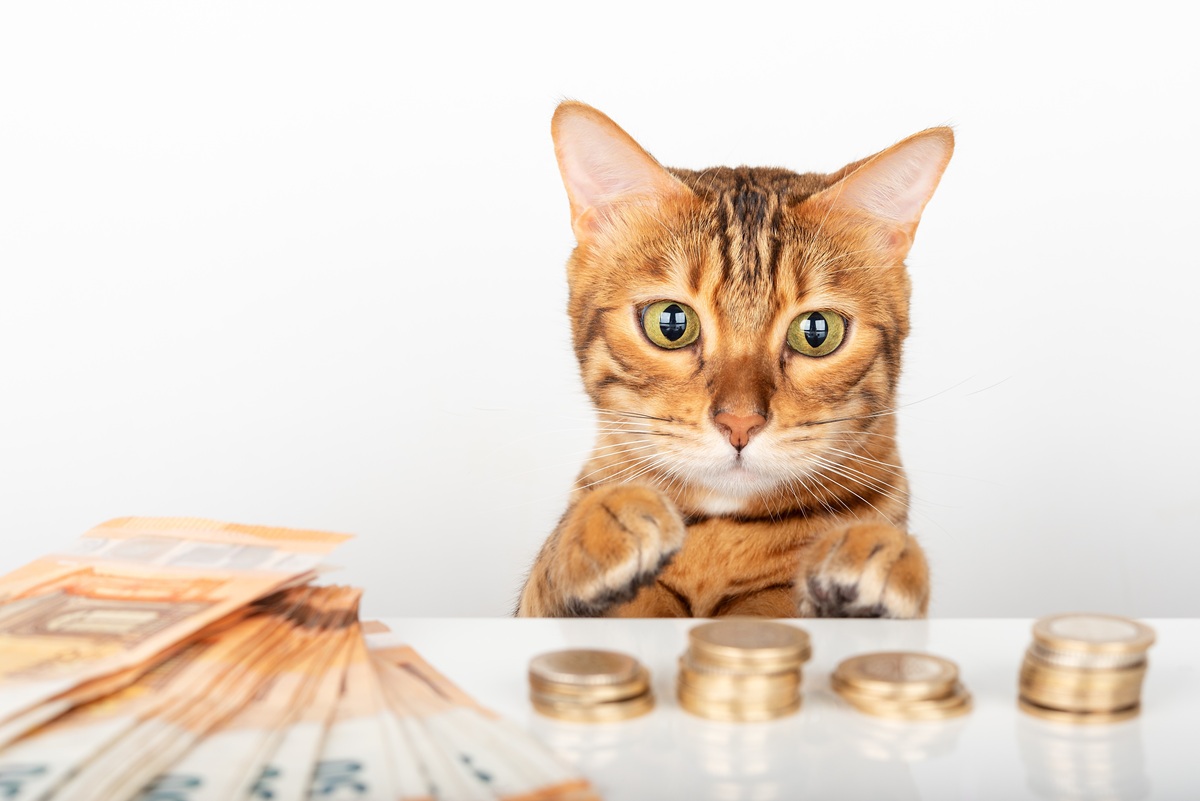 Αυτά είναι τα ακριβότερα κατοικίδια του κόσμου: Η βιομηχανία των 259 δισ. δολαρίων