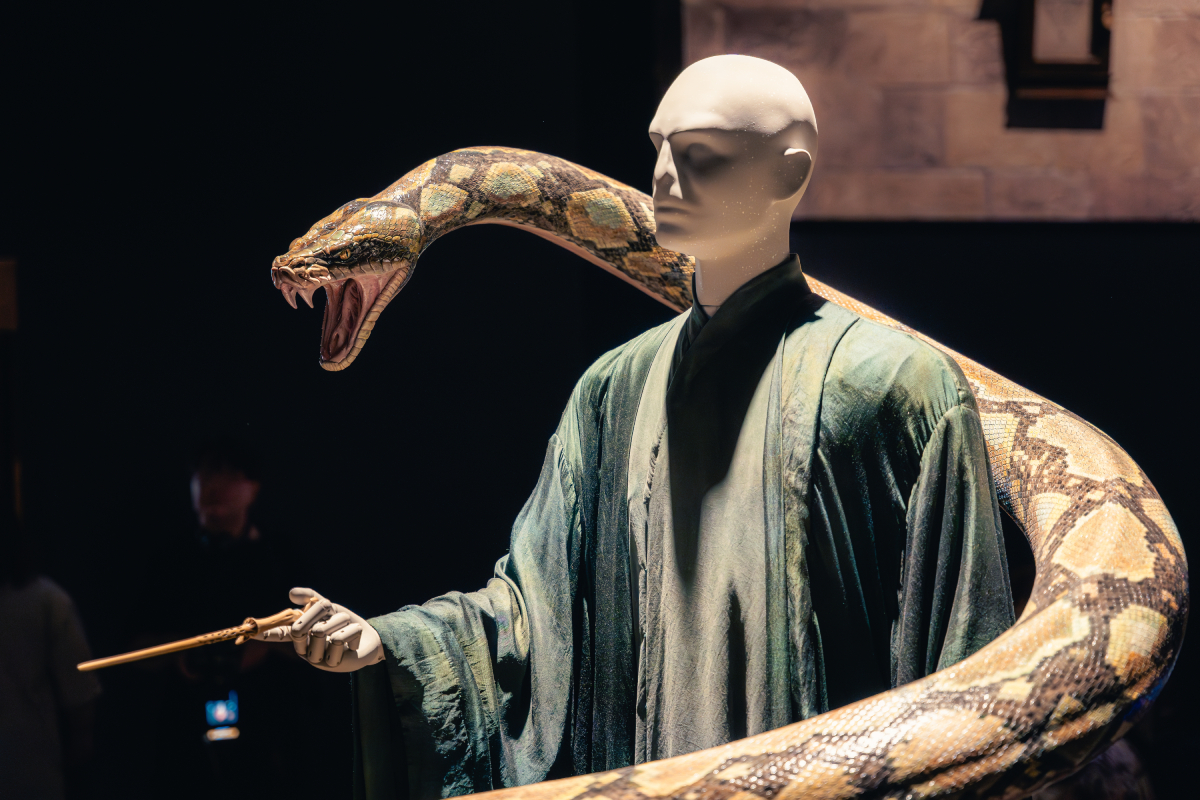 Ο Ρέιφ Φάινς «δείχνει» τον νέο Βόλντεμορτ στη σειρά Harry Potter του HBO