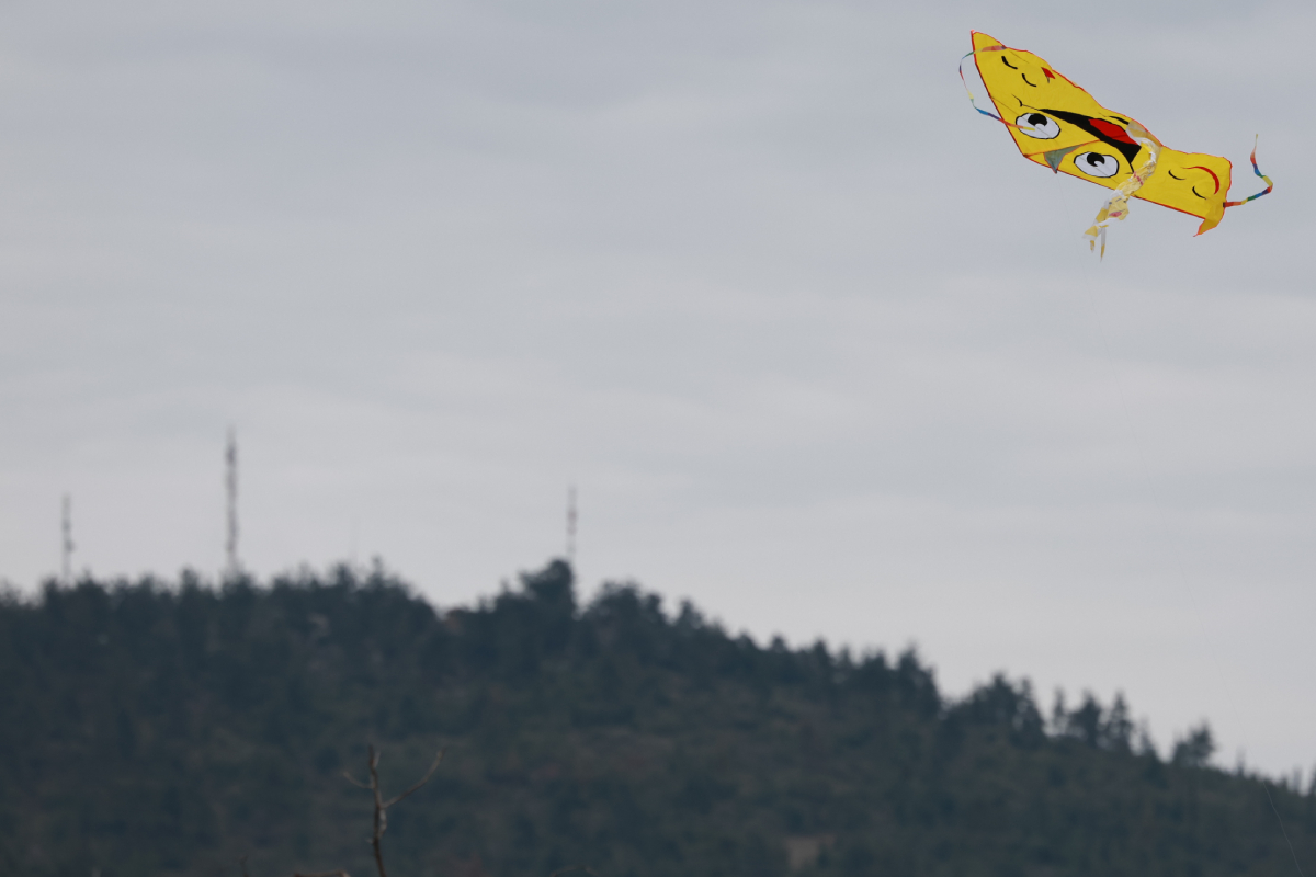 Πετάξτε χαρταετό με ασφάλεια: Τι να κάνετε αν μπλεχτεί σε ηλεκτροφόρα καλώδια