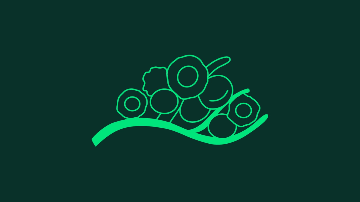 Boehringer Ingelheim: Στρατηγική στην καινοτομία για την Ογκολογία