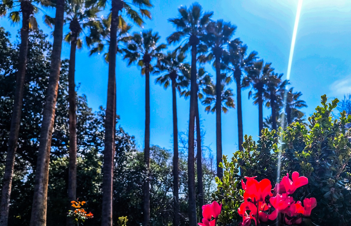 Καιρός: Ανοιξιάτικο σκηνικό το Σαββατοκύριακο με 19άρια – Πού θα πέσουν τοπικές βροχές